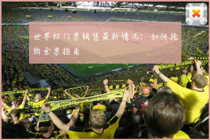 世界杯门票销售最新情况:如何抢购余票指南